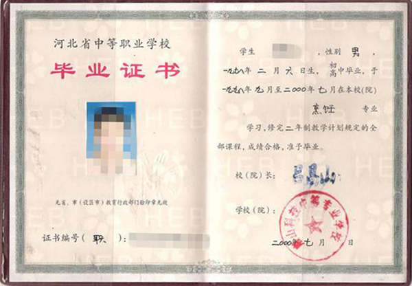 2003年中專畢業證樣本、模板及補辦指南